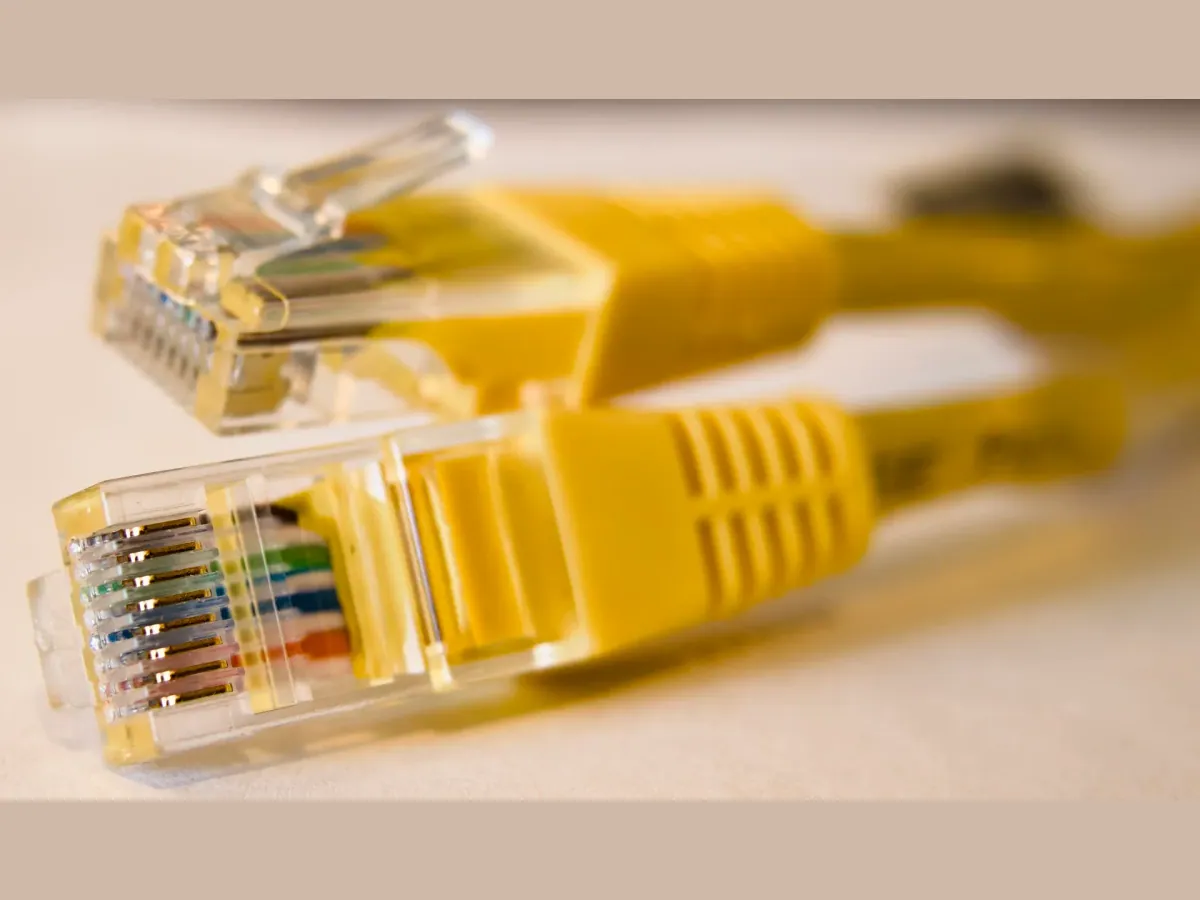 Deux connecteurs RJ45 transparents au bout d’un câble Ethernet jaune